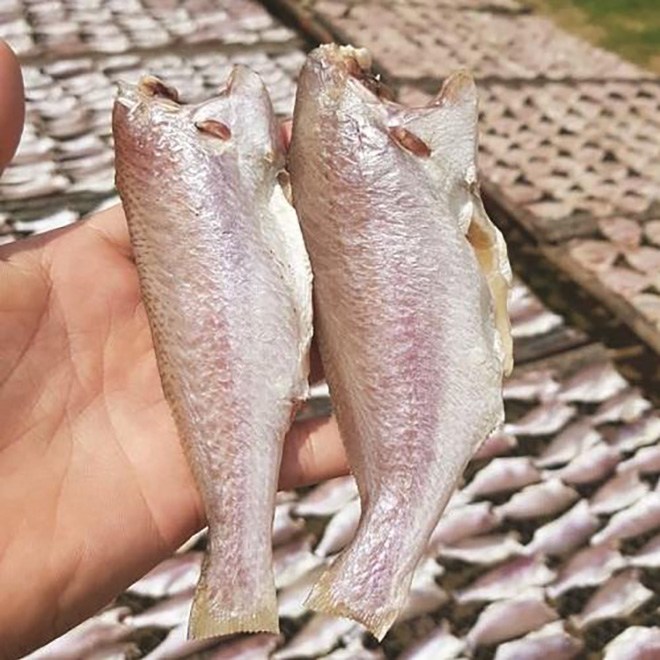 KHÔ CÁ ĐÙ SIZE KHỦNG ĐẶC SẢN MINH TRIẾT CÀ MAU 250G