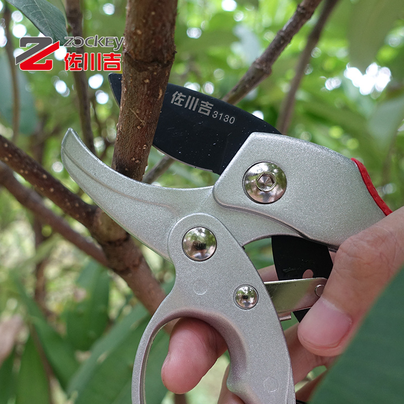 Kéo cắt cành lưỡi thép Carbon cao cấp