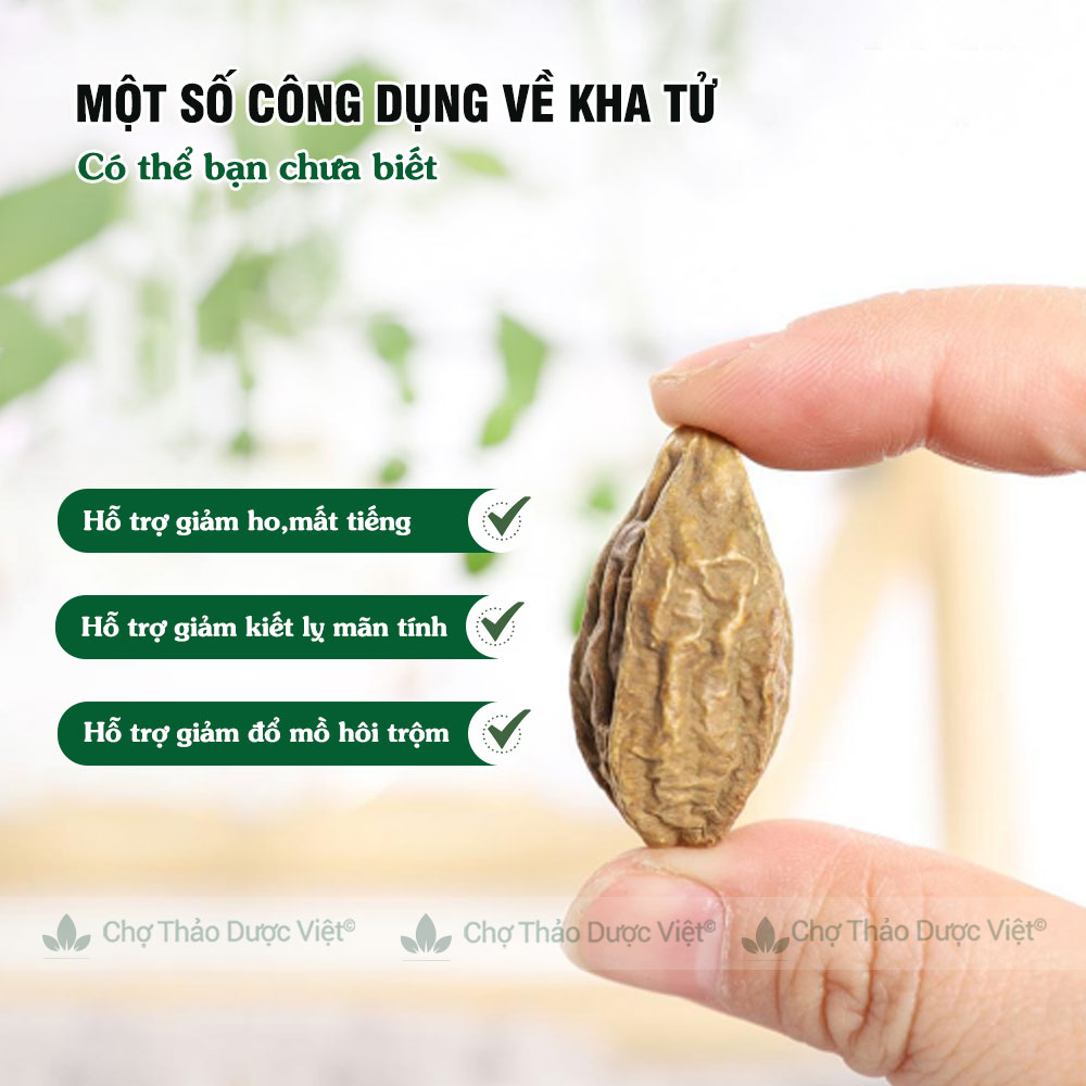 Quả kha tử khô 500g, hạt to, sạch, kha tử ngậm ho, dùng nấu siro, hỗ trợ giảm đau họng, khan tiếng