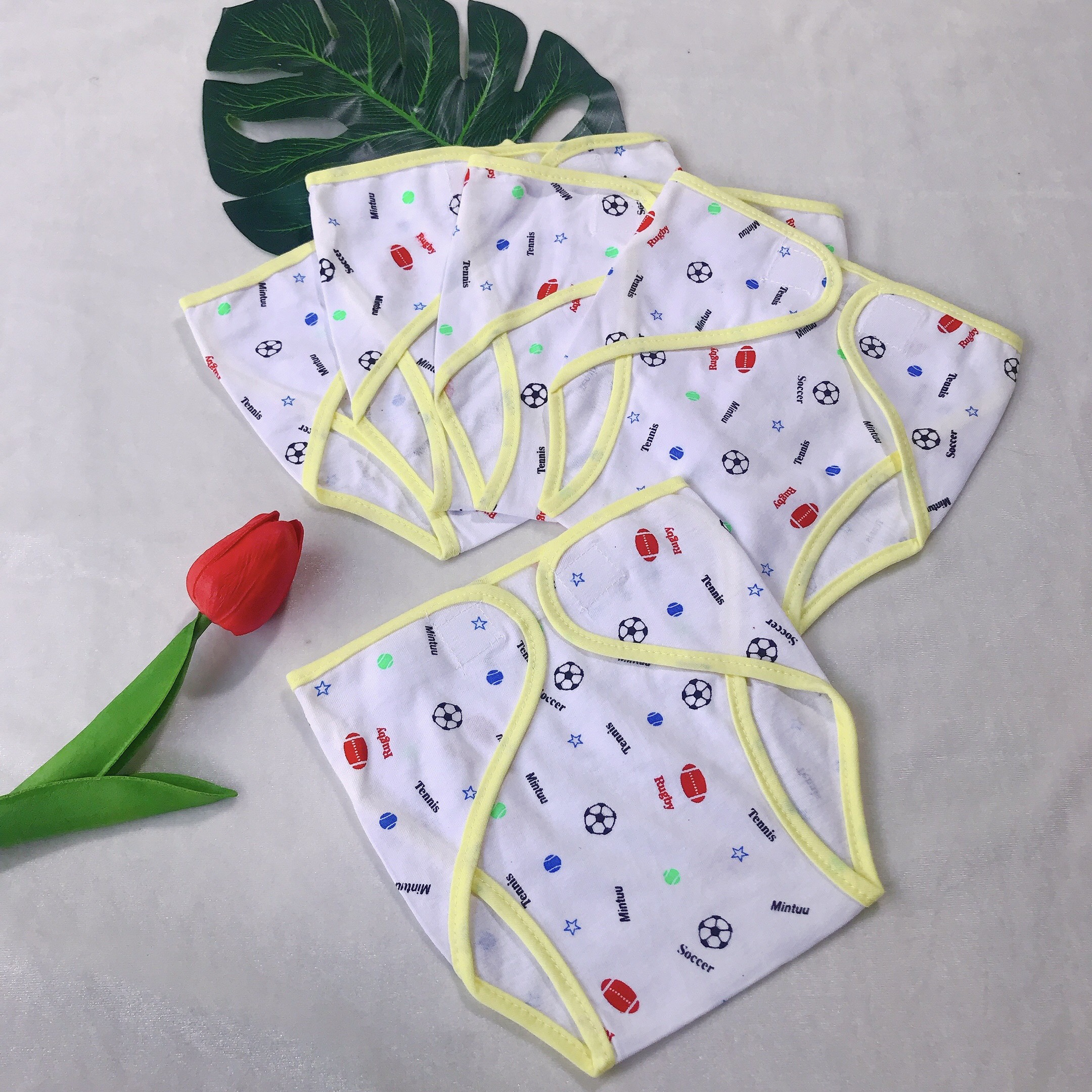Set 5 Tã Vải Dán /Tã Quần Đóng Bỉm Sơ Sinh Mintuu (3-9kg)