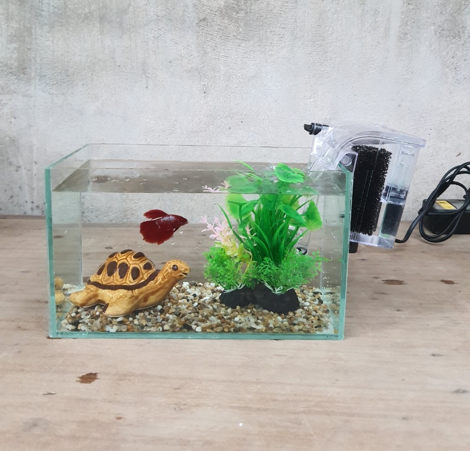 Bể cá mini 24 cm với 5 món (bể, sỏi nền, cây nhựa cỡ vừa, máy lọc nước, phụ kiện bể cá nhỏ)