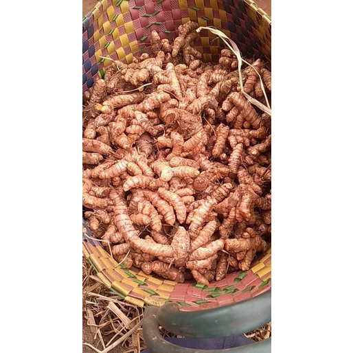 Củ Nghệ Vàng Tươi (Nghệ Ta) 1kg