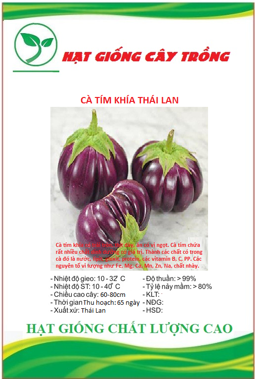 Hạt giống cà tím khía thái lan ct273 - gói 0.3gram