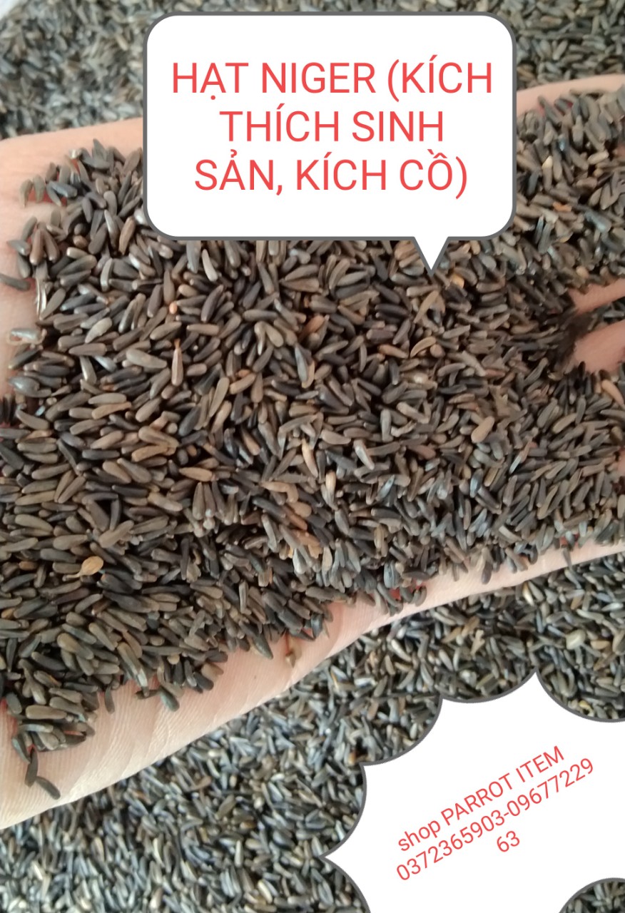 [HCM]500g HẠT NIGER (KÍ.CH THÍ.CH SI.NH SẢ.N KÍC.H C.Ồ) CHO CHIM VẸT