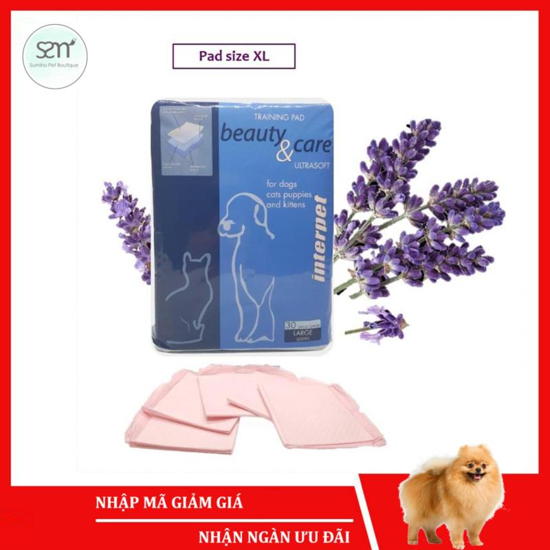 5 cái Tã lót vệ sinh chó mèo size XL (60x90cm) (có mùi hương) Sumiho công nghệ Ý