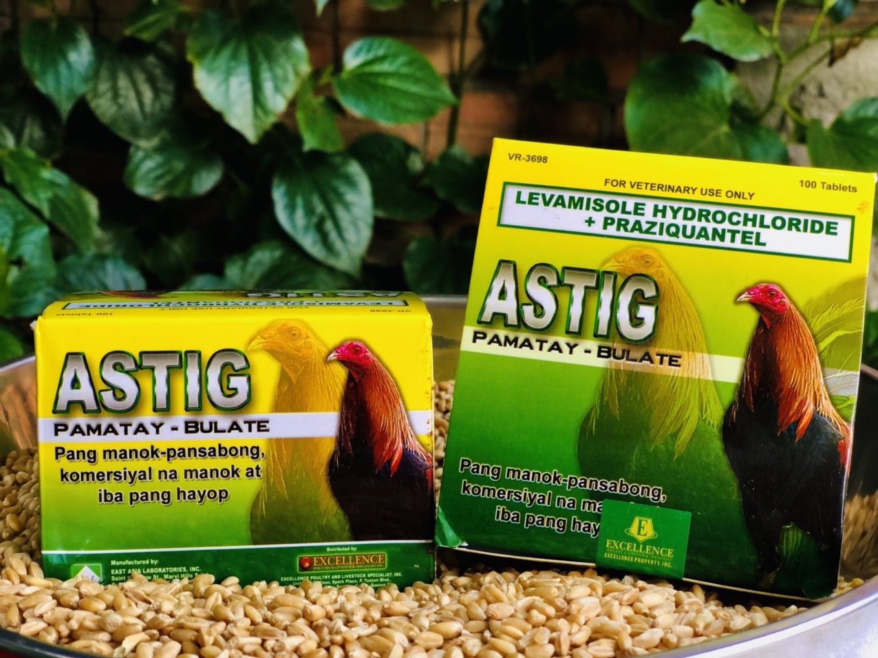 Mega B12 dinh dưỡng cho gà đá