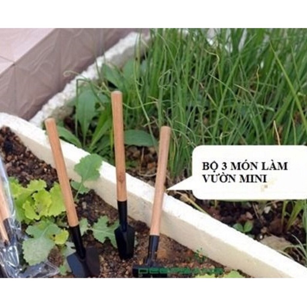 Bộ dụng cụ làm vườn mini 3 món FL-3GO2