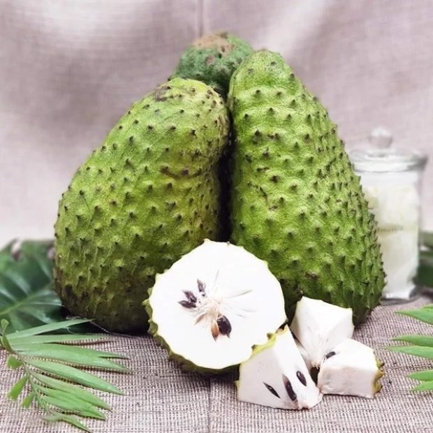 Mứt Mãng Cầu Lafresh hộp 1kg