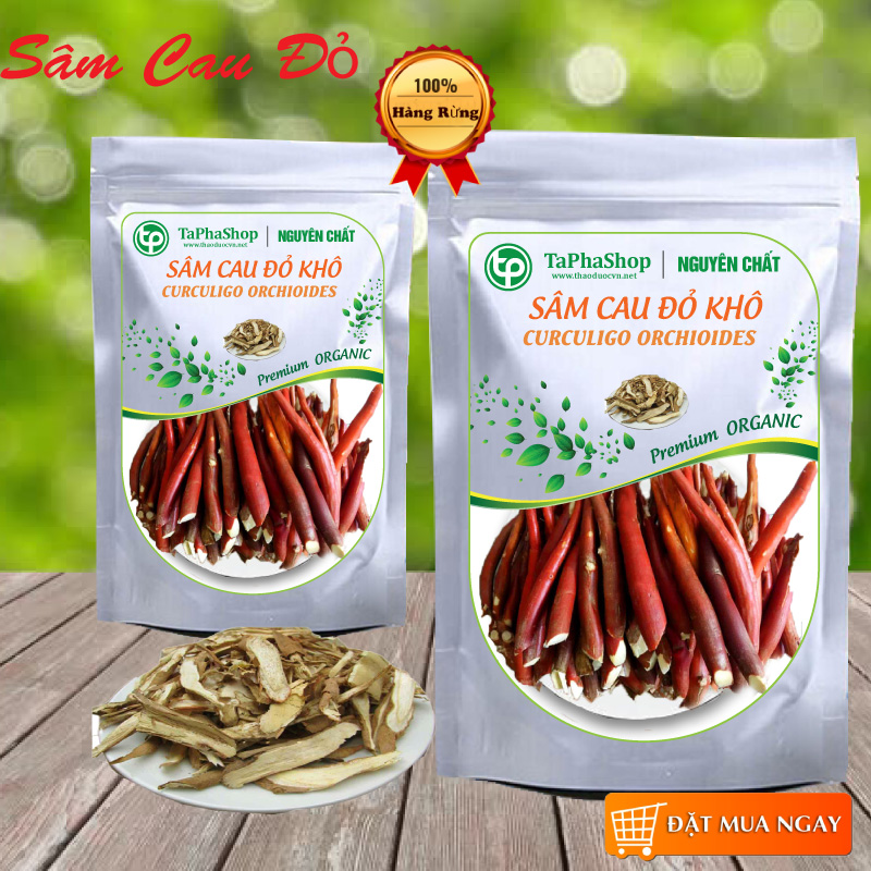 Sâm cau đỏ khô 100g - Thảo Dược Tấn Phát