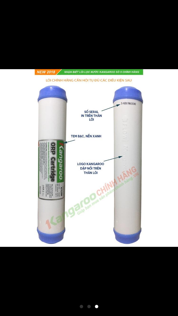 LÕI KHOÁNG ORP – LÕI SỐ 9 KANGAROO