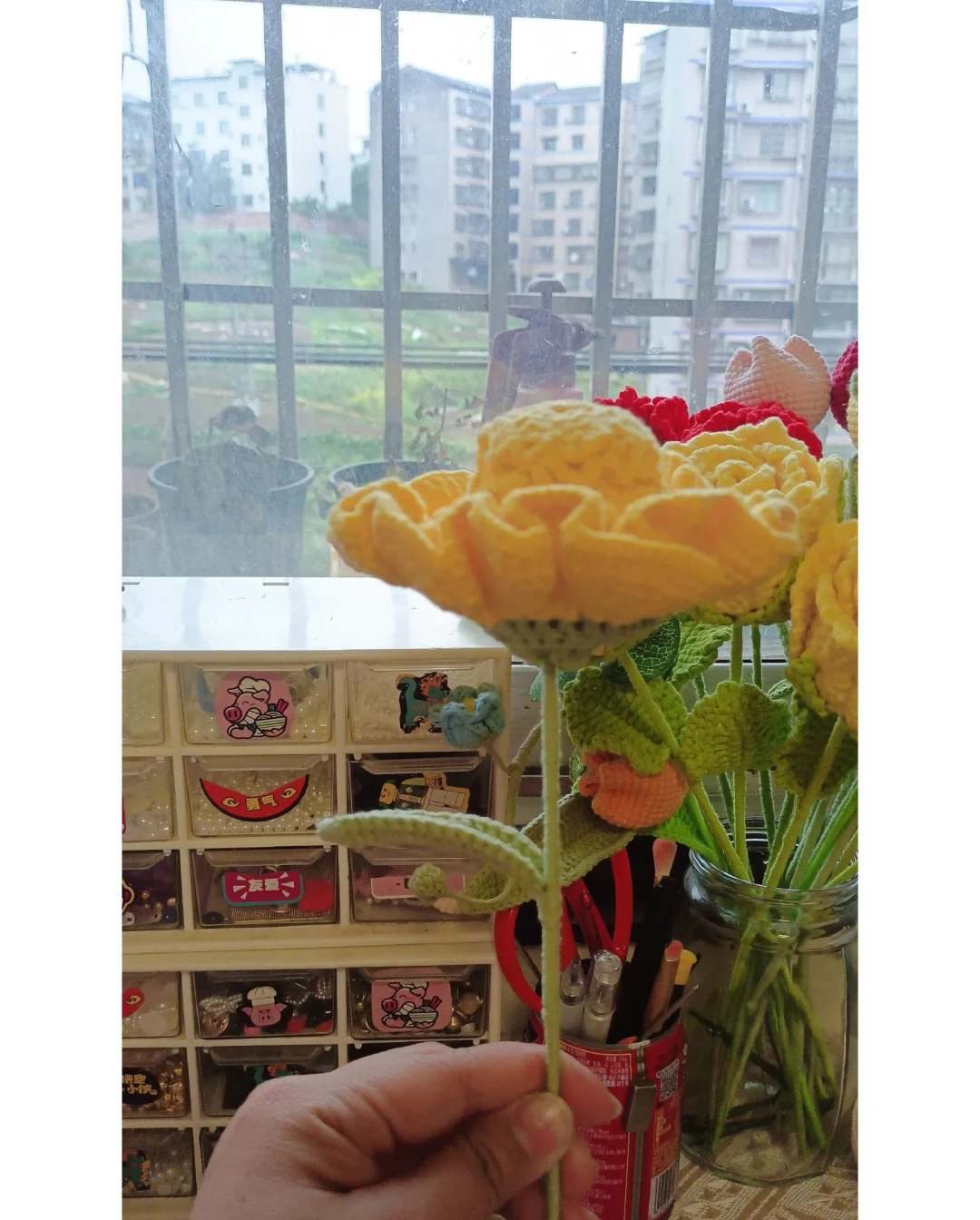 Tinh linh hoa cẩm chướng