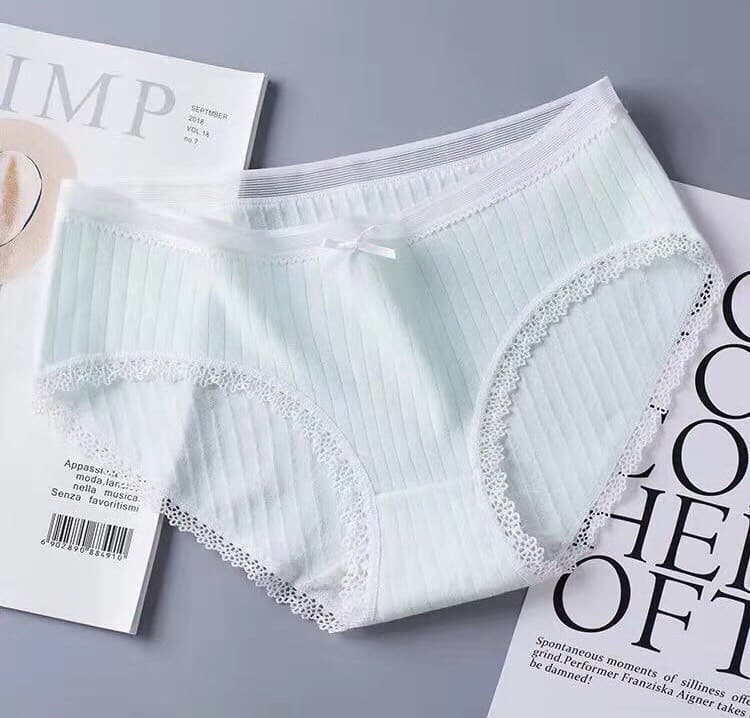 ( BÁN SỈ) 10 QUẦN LÓT COTTON TĂM CAO CẤP M001 (43-60KG)