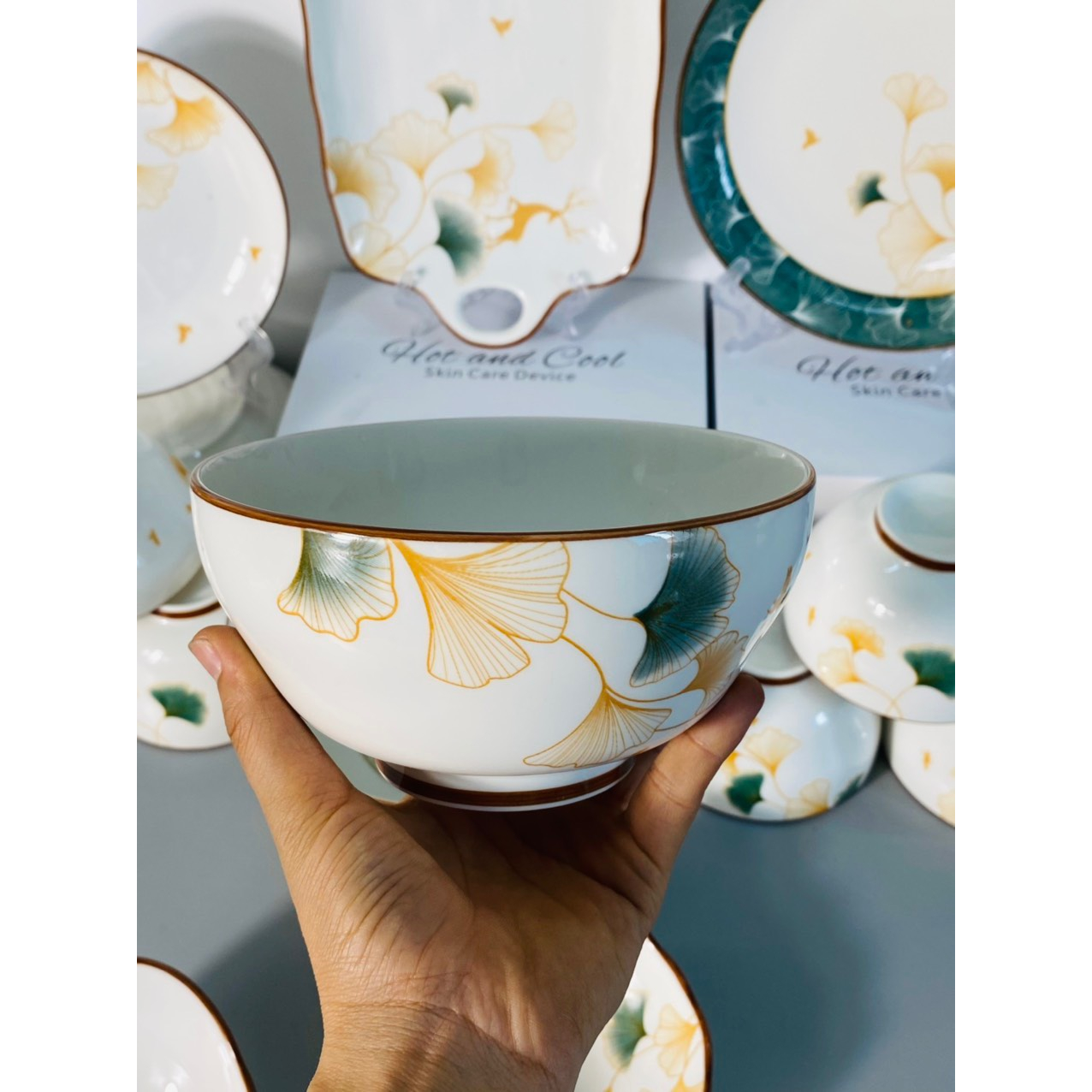 Bộ bát đĩa gốm sứ decor cao cấp sang sịn mịn, Sét 13 món
