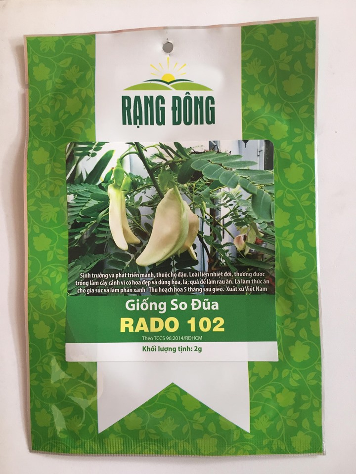Hạt giống bông so đũa Rạng Đông