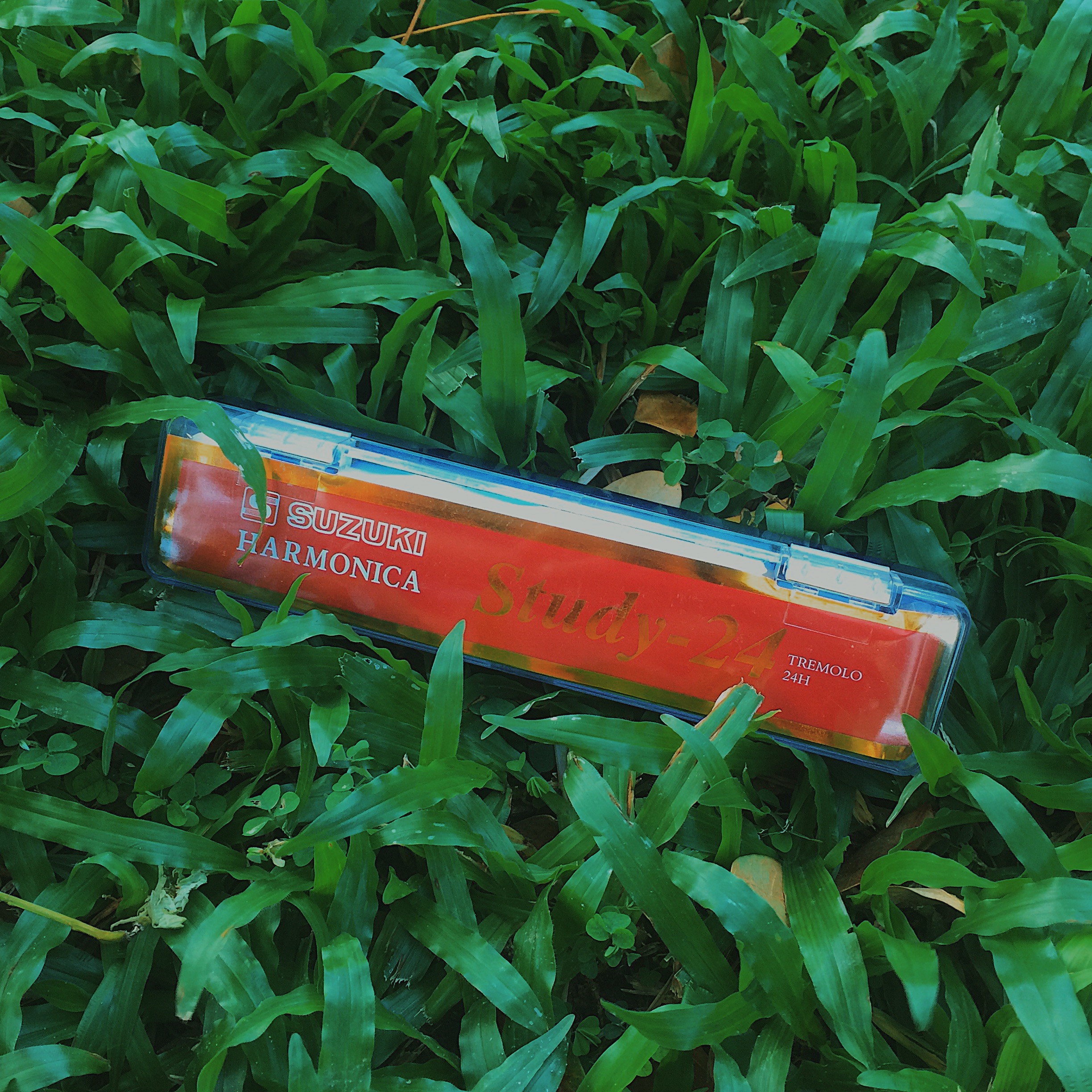 Kèn Harmonica Tremolo Suzuki Study 24, Harmonica cho người mới tập chơi giá rẻ
