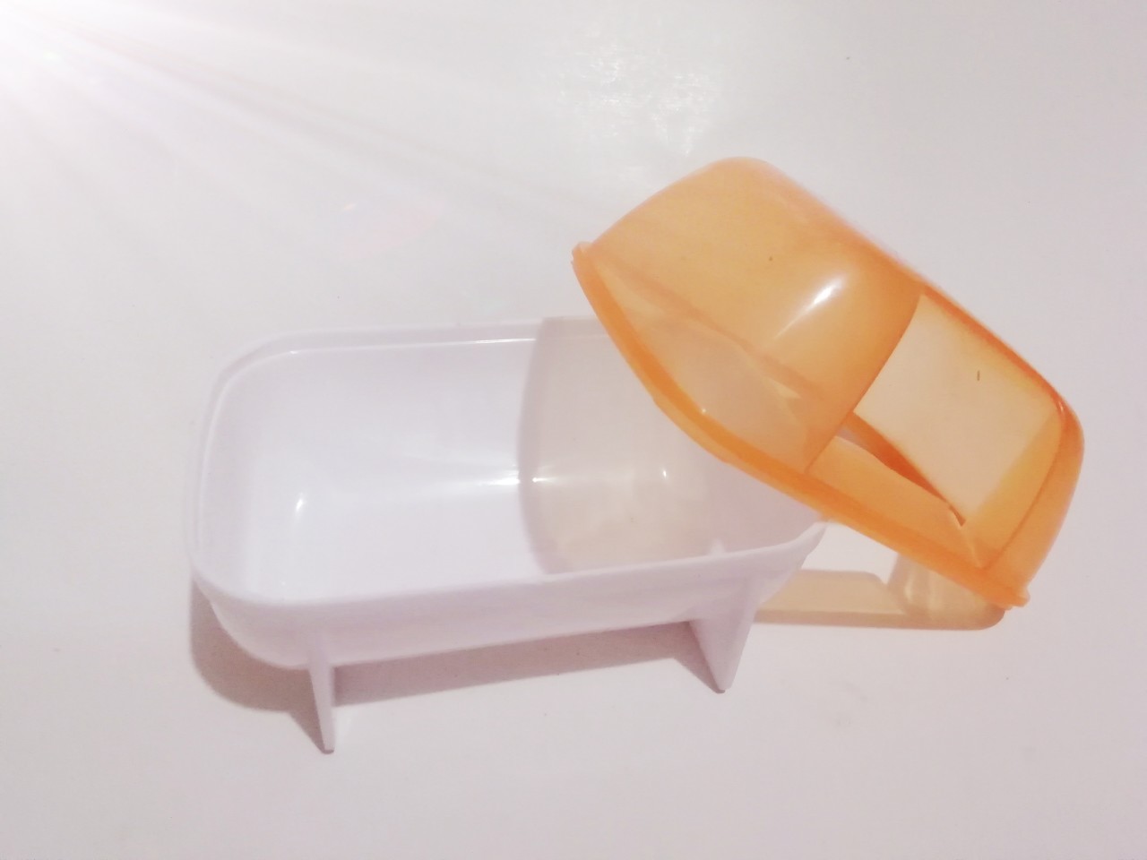 Nhà tắm lớn cho hamster