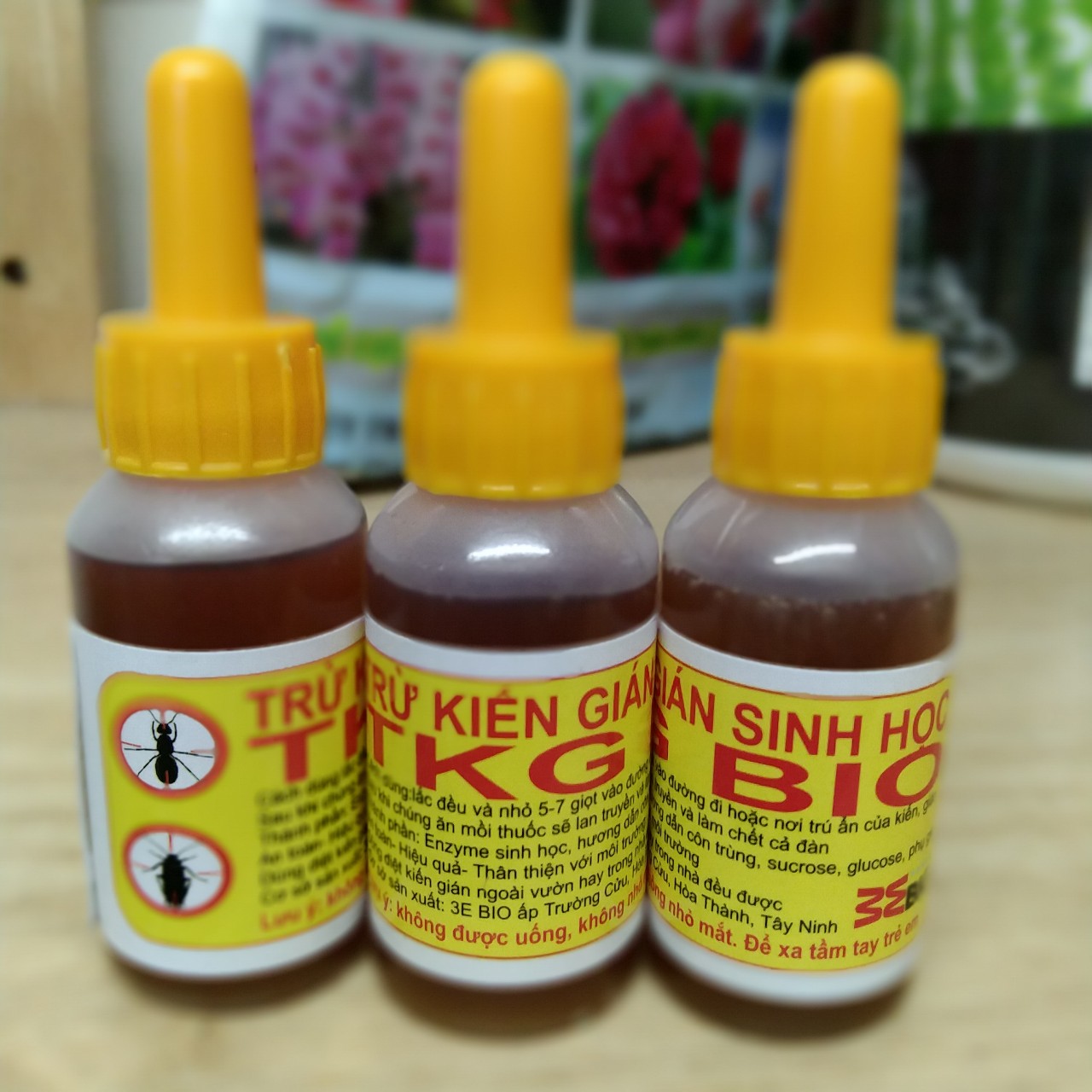 2 lọ diệt kiến gián sinh học không mùi