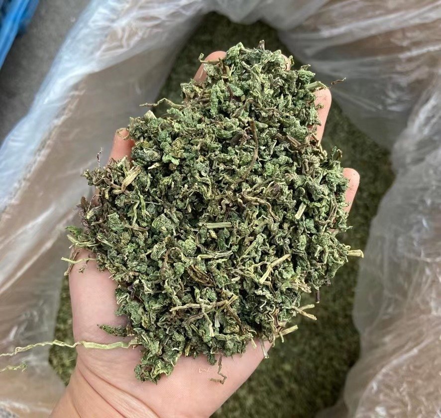 Bạc Hà Sấy Khô (Trà Bạc Hà) Lon 100Gram