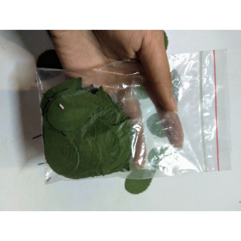 Lá hồng cắt sẵn có gân 100 lá rời