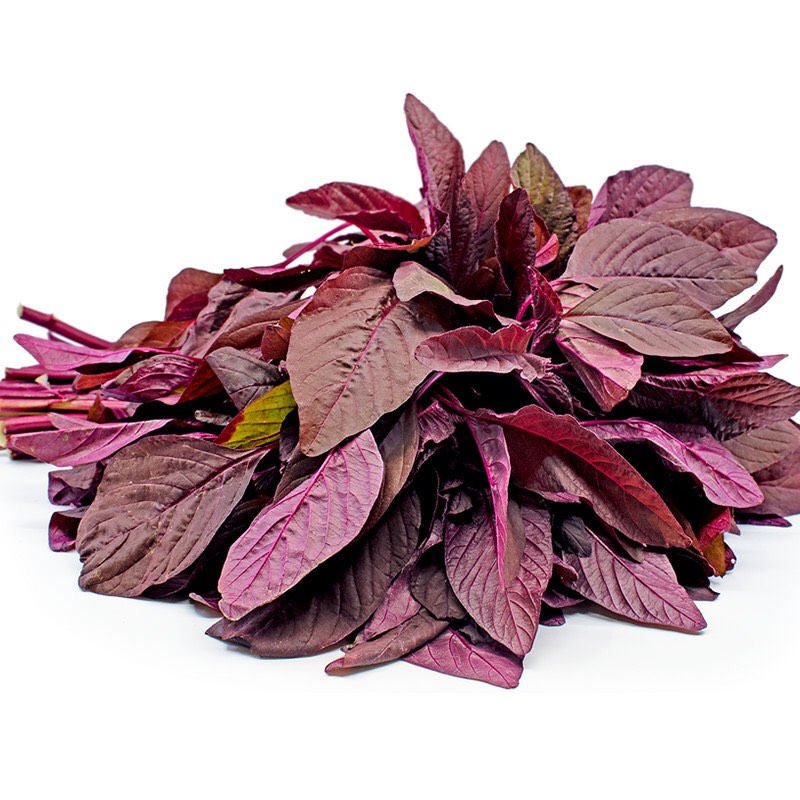 Rau dền đỏ Rd (20g)