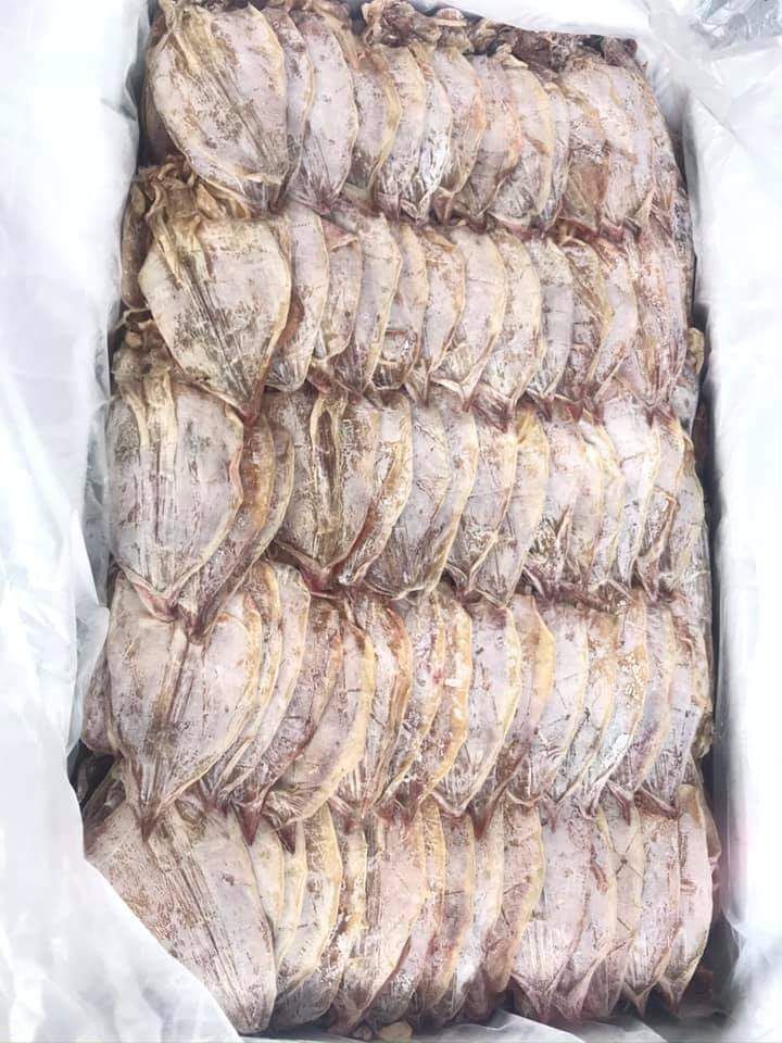 21 con mực khô ngon mới, đều con