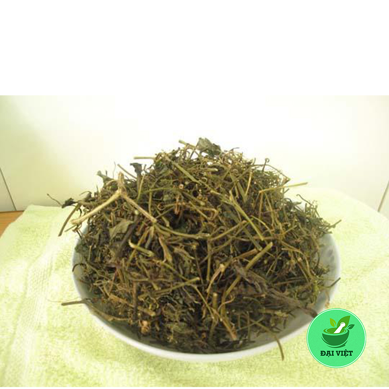 Giảo cổ lam SAPA (gói 1kg) - DV037