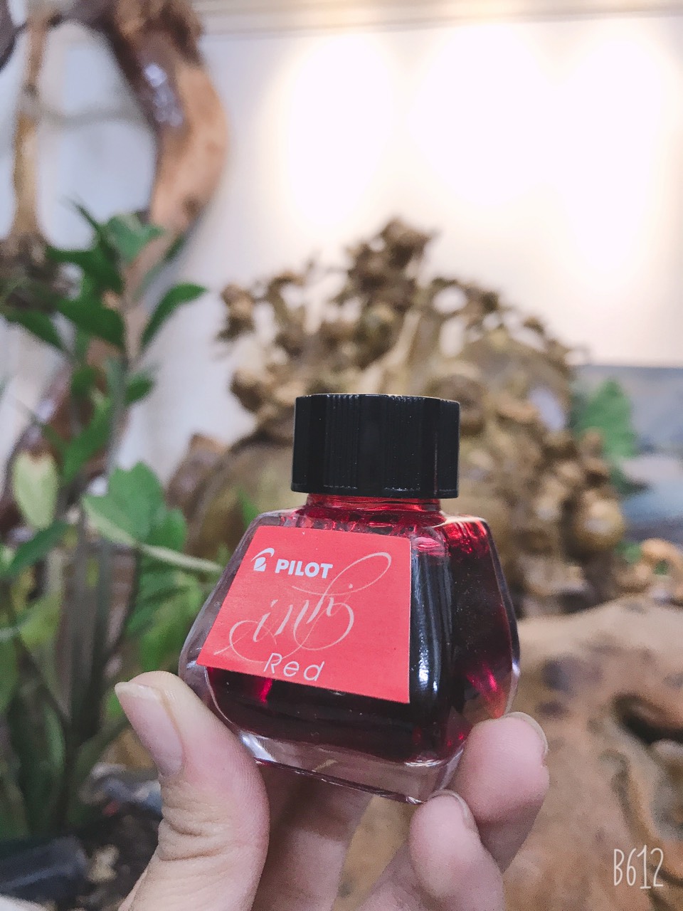 Mực Pilot Ink Nhật Bản, mực bút máy cao cấp 30ml