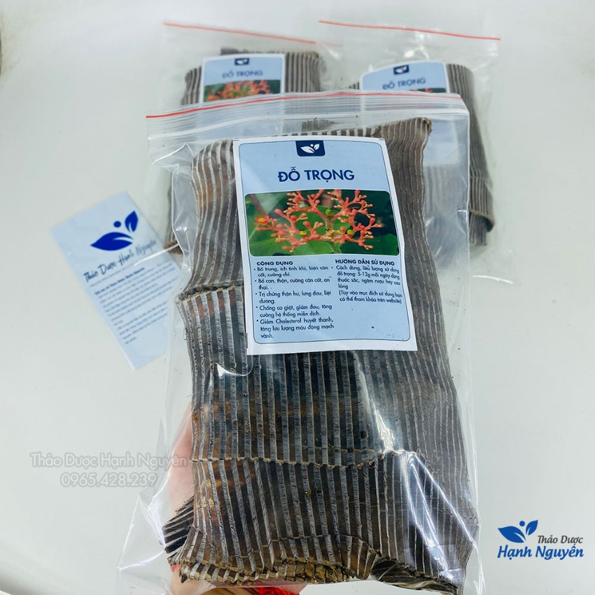 Đỗ trọng bắc khô 500g, miếng to, đẹp, hỗ trợ bổ can thận, mạnh gân cốt, giảm đau xương khớp