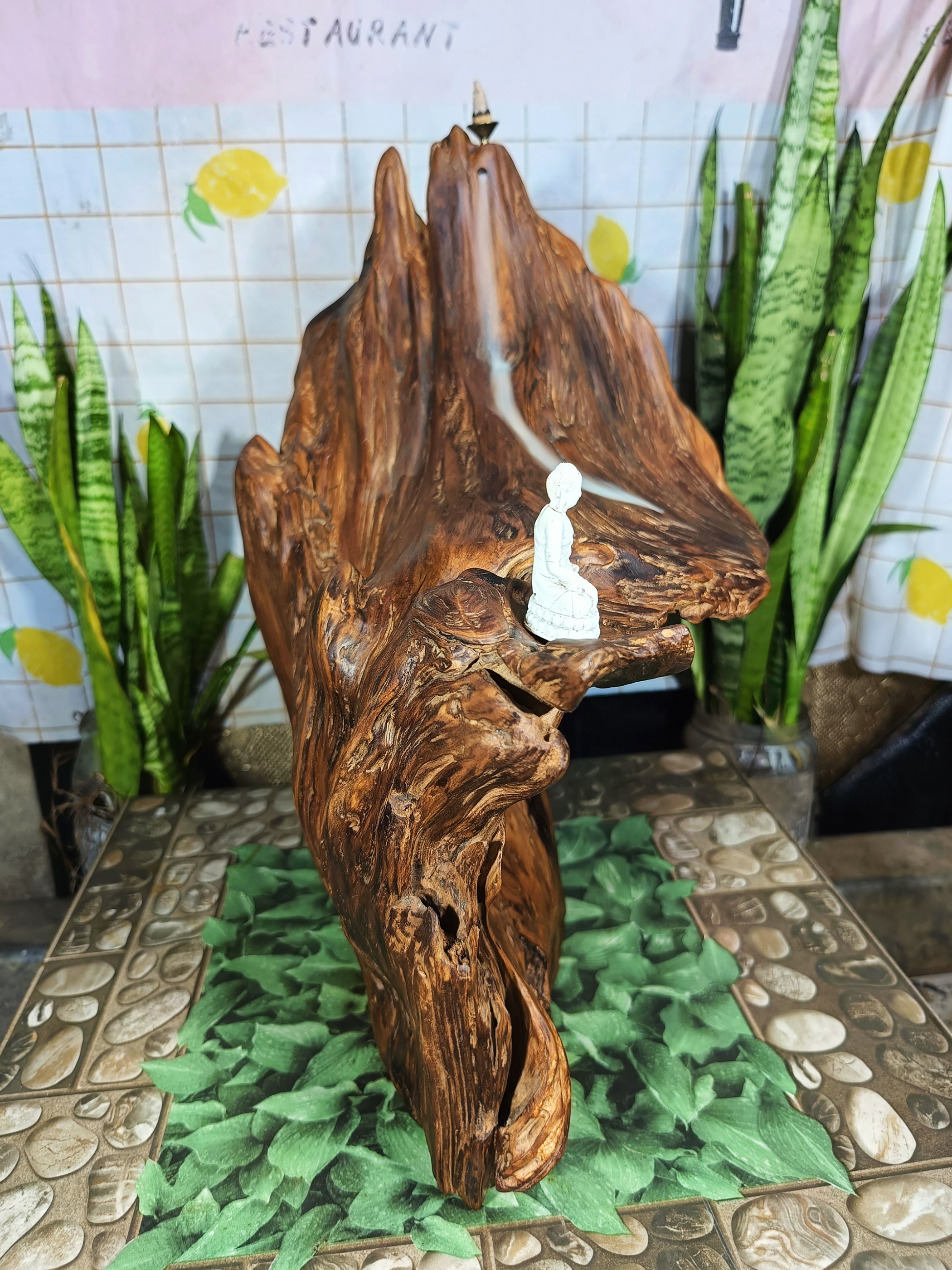 lũa ngọc am đỏ hà giang