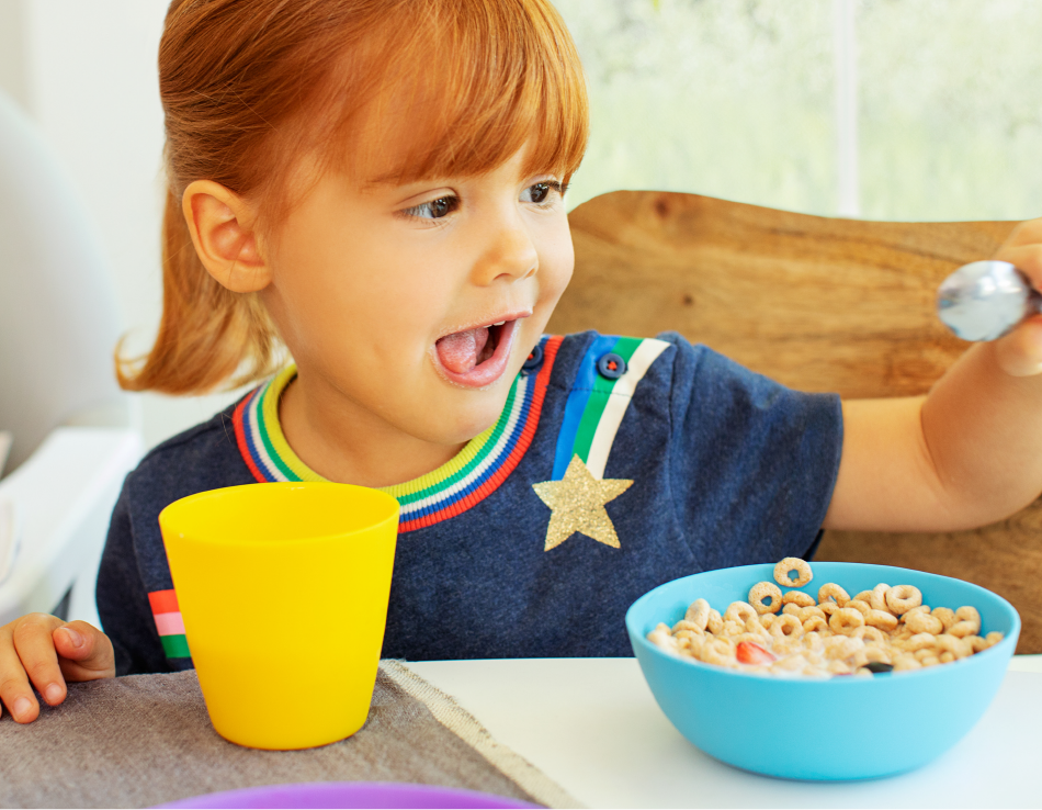 BÁT ĂN CỠ LỚN MUNCHKIN (4C)
