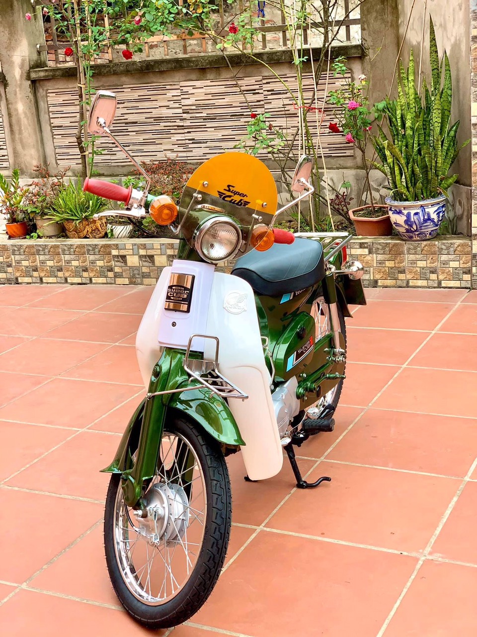 Kính chắn gió xe cub đèn tròn Moony