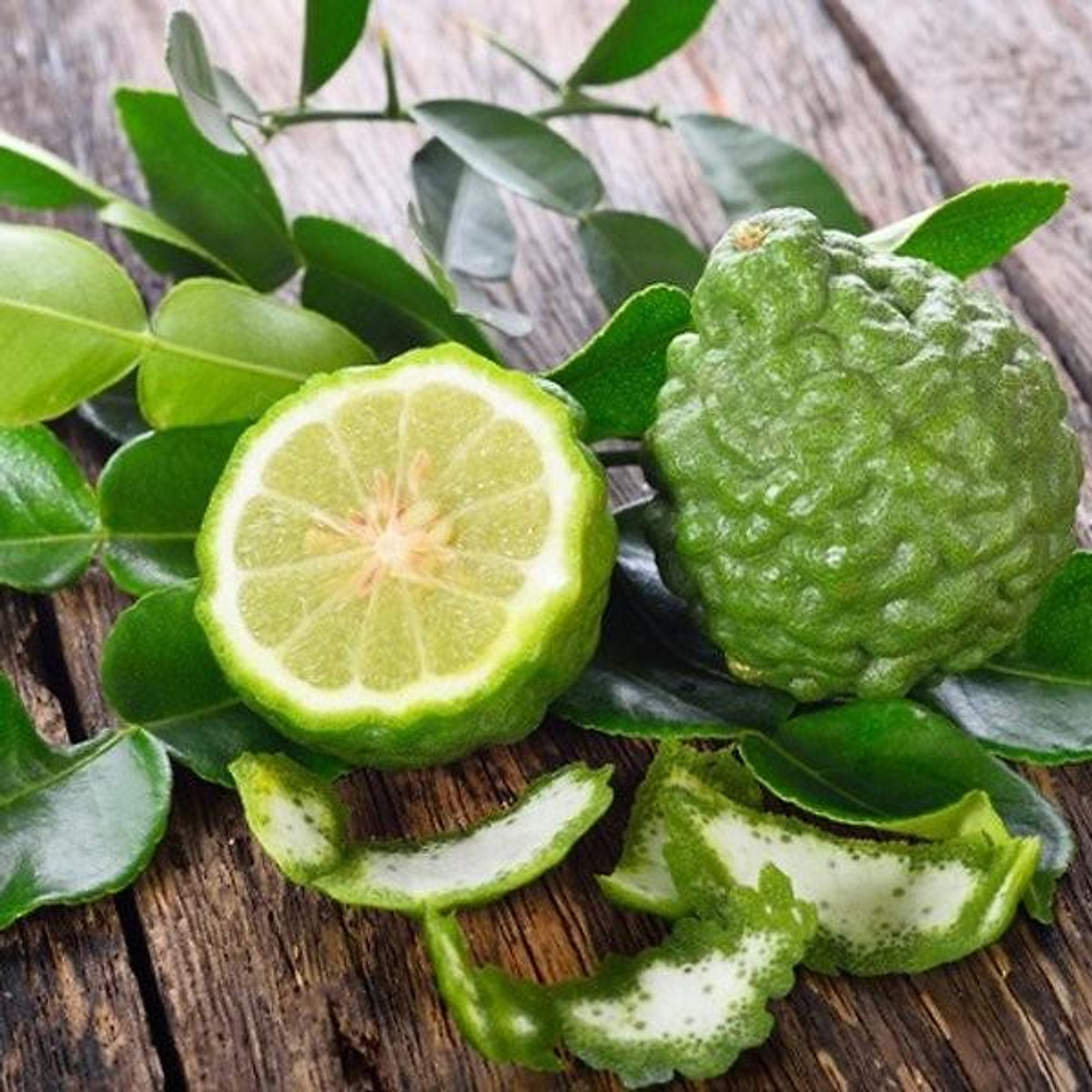 Hạt giống chanh Thái, chanh chúc, chanh bưởi Thái - 10 hạt