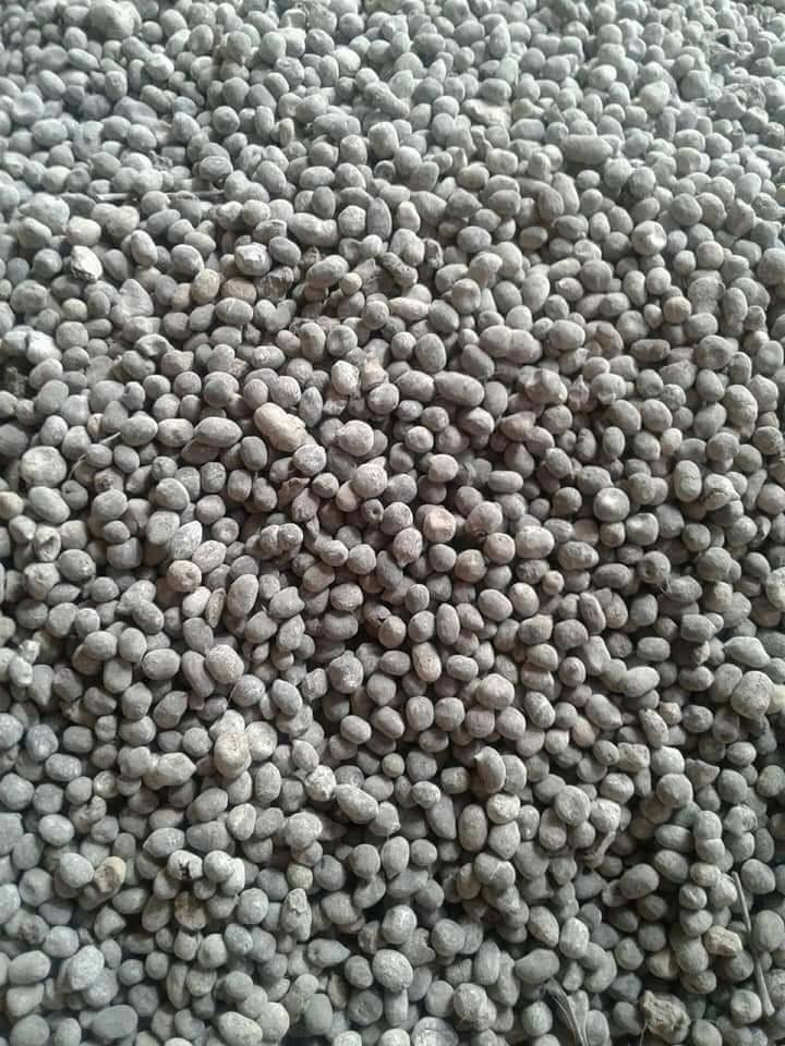 1kg phân dê đã qua xử lý