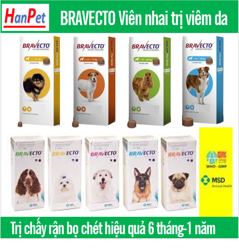 Hanpet-  Thuốc trị ve, bọ chét, viêm da, ghẻ máu demodex cho chó - Bravecto 10 - 20kg