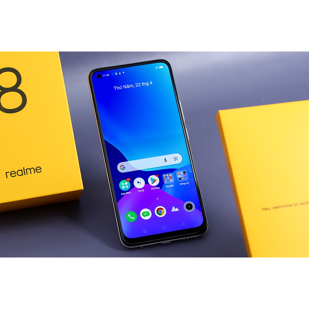 Combo 10 cây rau bớp - rau bầu đất loại 01 lzd