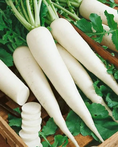 20GR_HẠT GIỐNG CỦ CẢI TRẮNG