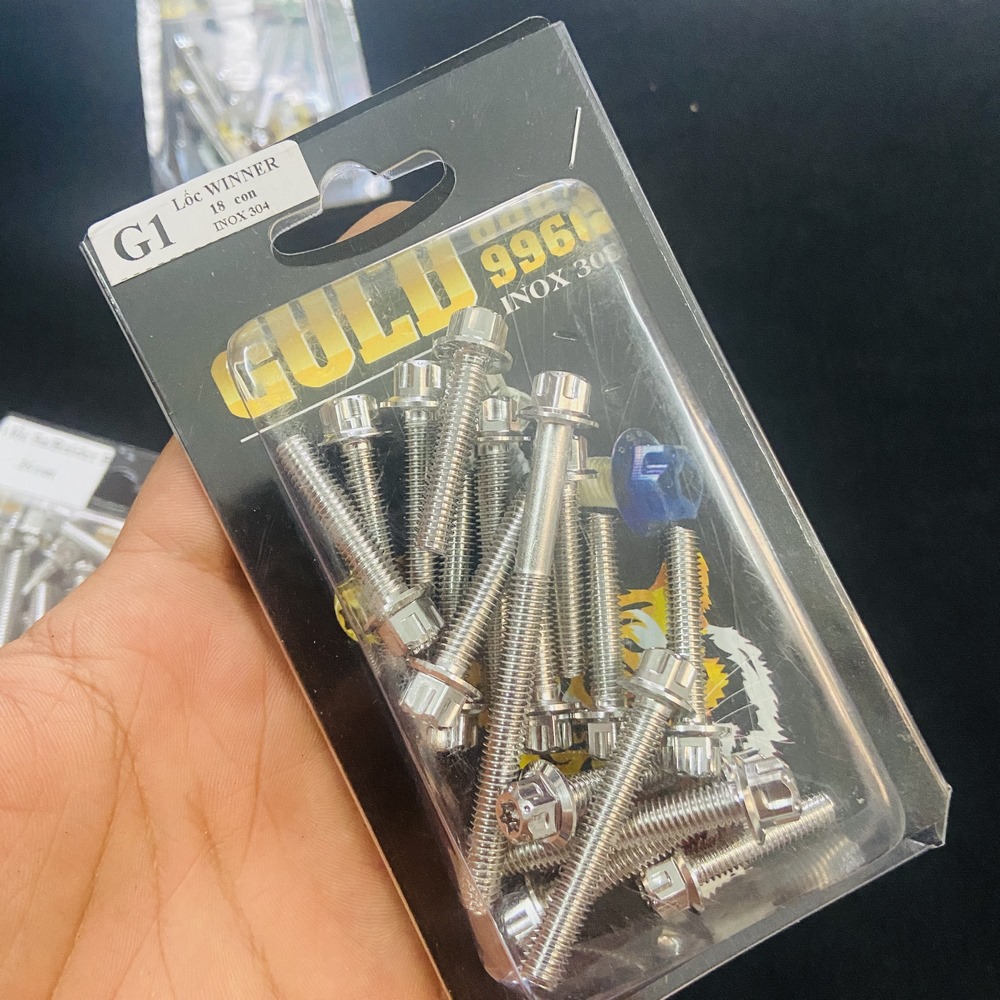 BỘ ỐC LỐC MÁY SALAYA CHO SATRIA, RAIDER FULL