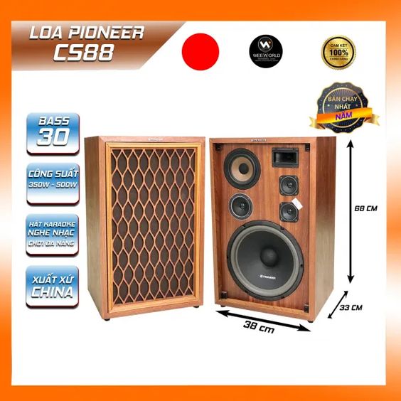 Loa Pioneer CS88