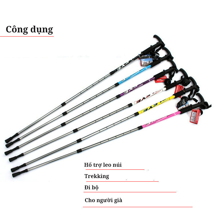 [HCM]Gậy leo núi đi rừng trekking GA2