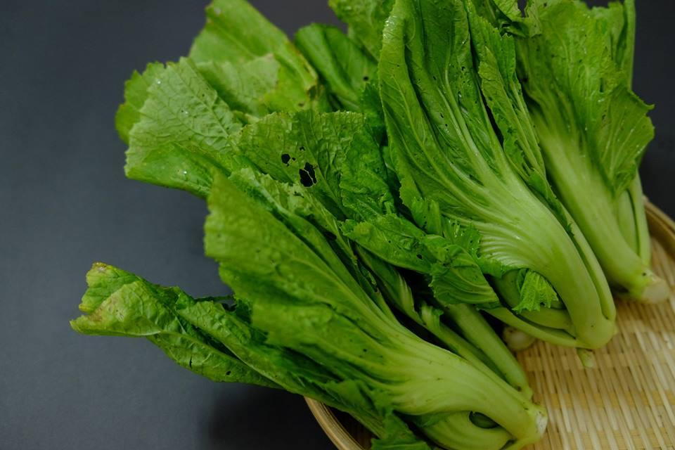 [HCM]Hạt giống Cải bẹ dưa - PhuNongSeeds