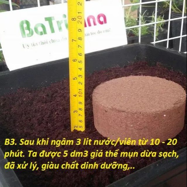 Thùng 24 Viên Mụn Dừa Nguyên ChấT Trồng Rau Mầm