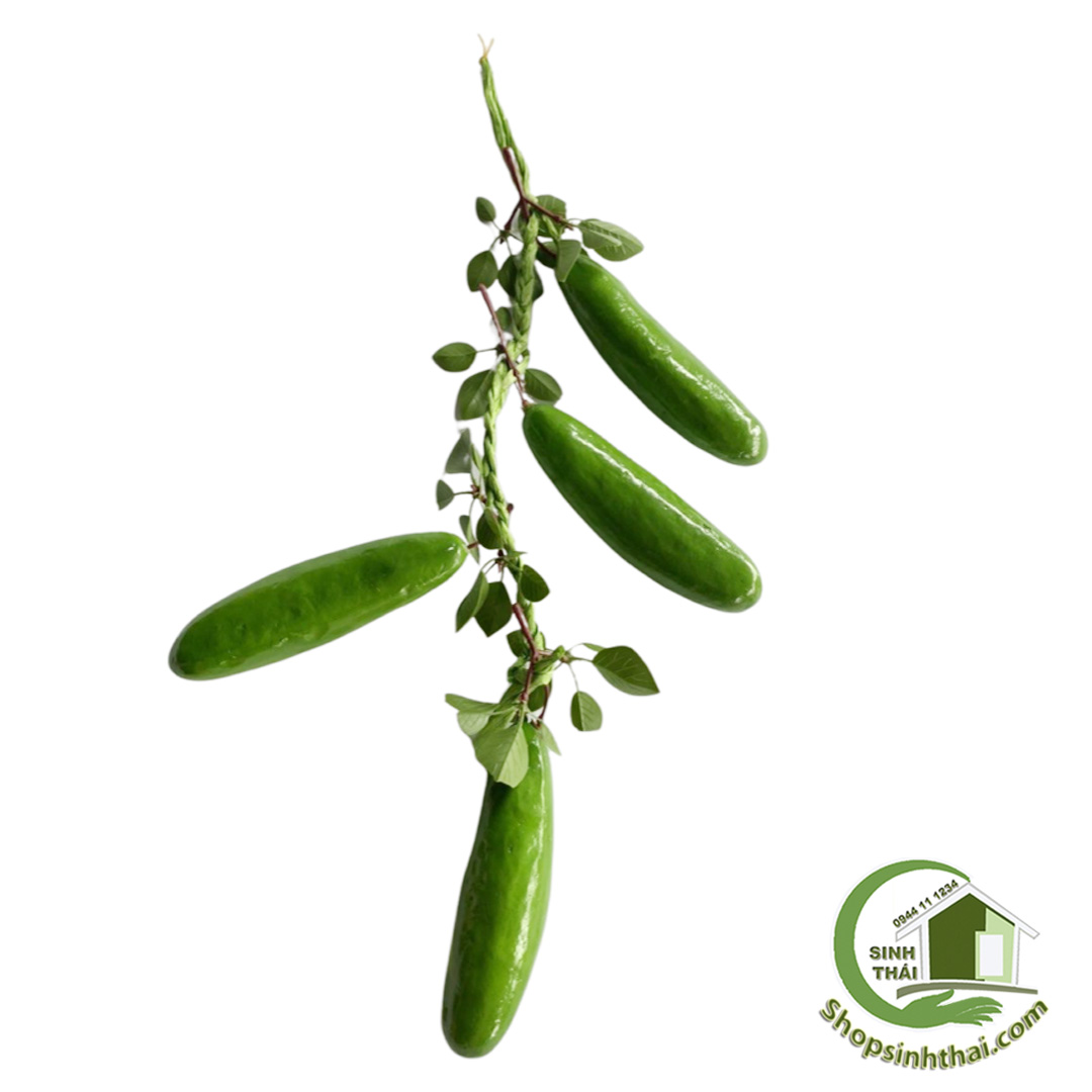Dây dưa leo giả - Dây củ quả giả cao cấp