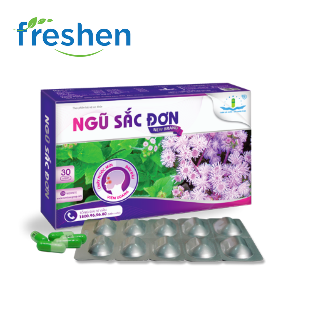 Ngũ sắc đơn hỗ trợ xoang mũi dị ứng