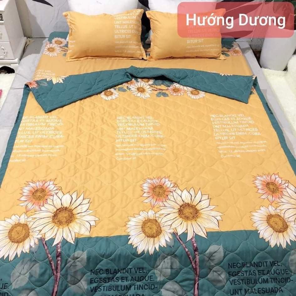 Bộ 5 Món Chăn + Ga + Vỏ Gối + Vỏ Gối Ôm Loại Cao Cấp