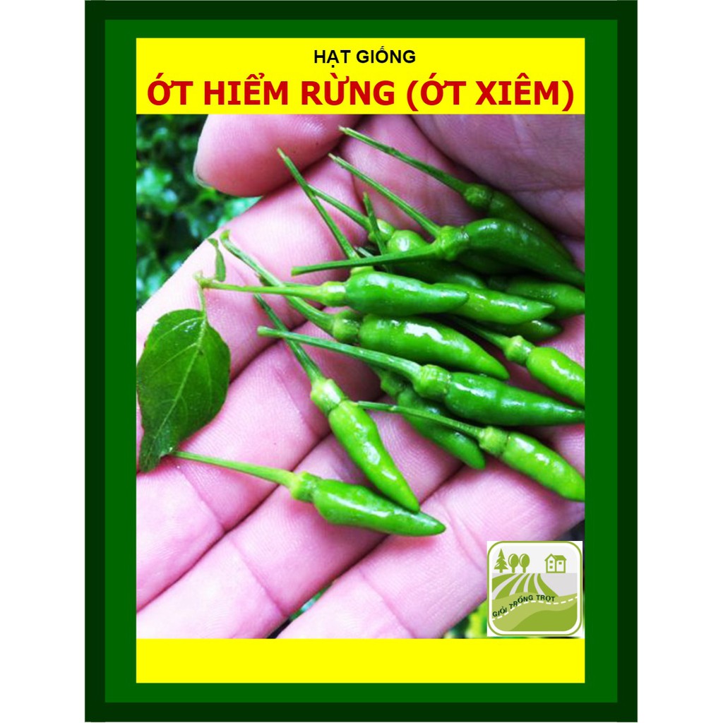 Hạt Giống Ớt Xiêm Ớt Hiểm Rừng