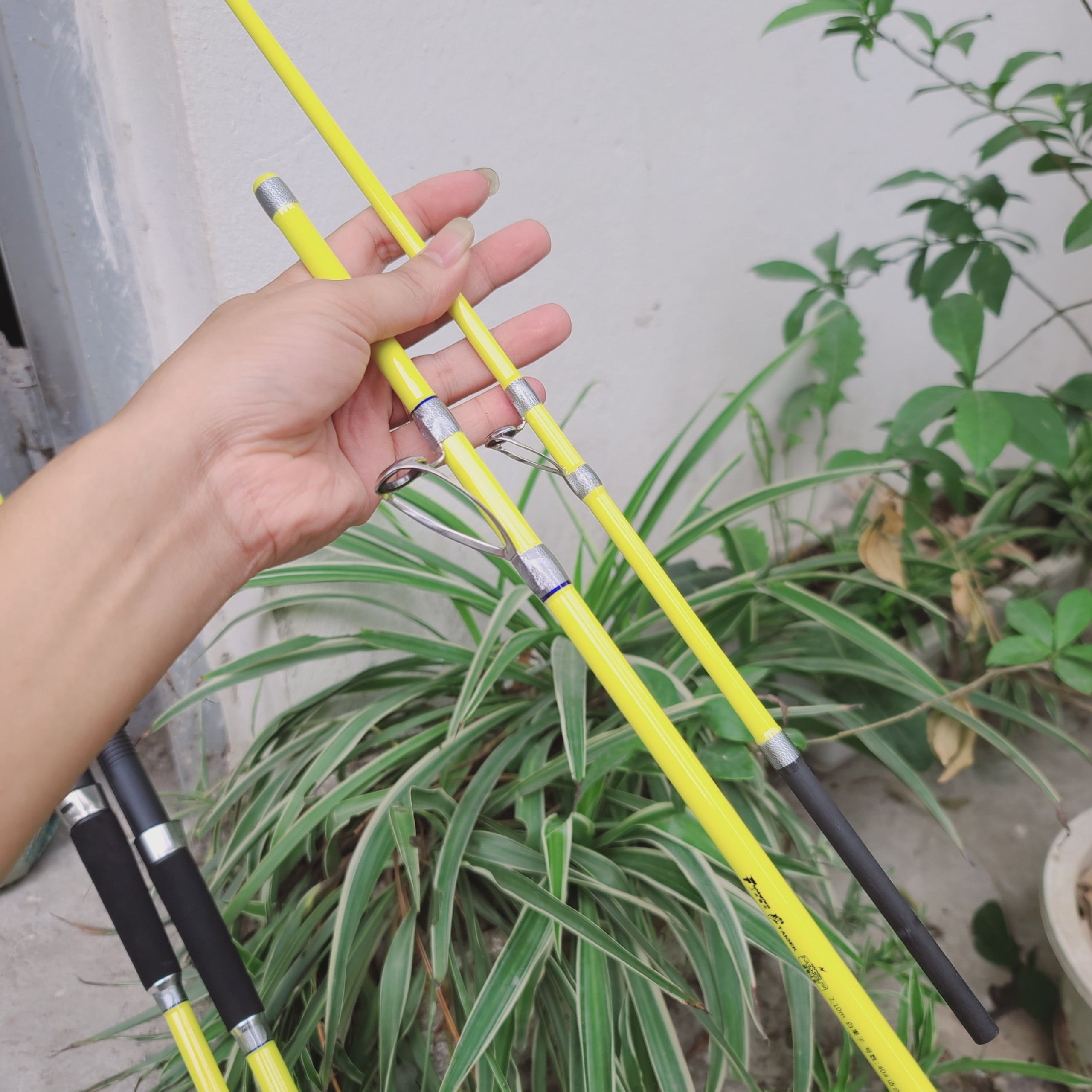 "Cần câu cacbon 2 khúc Cotella Maris (đa năng - Siêu Trâu Bò)"