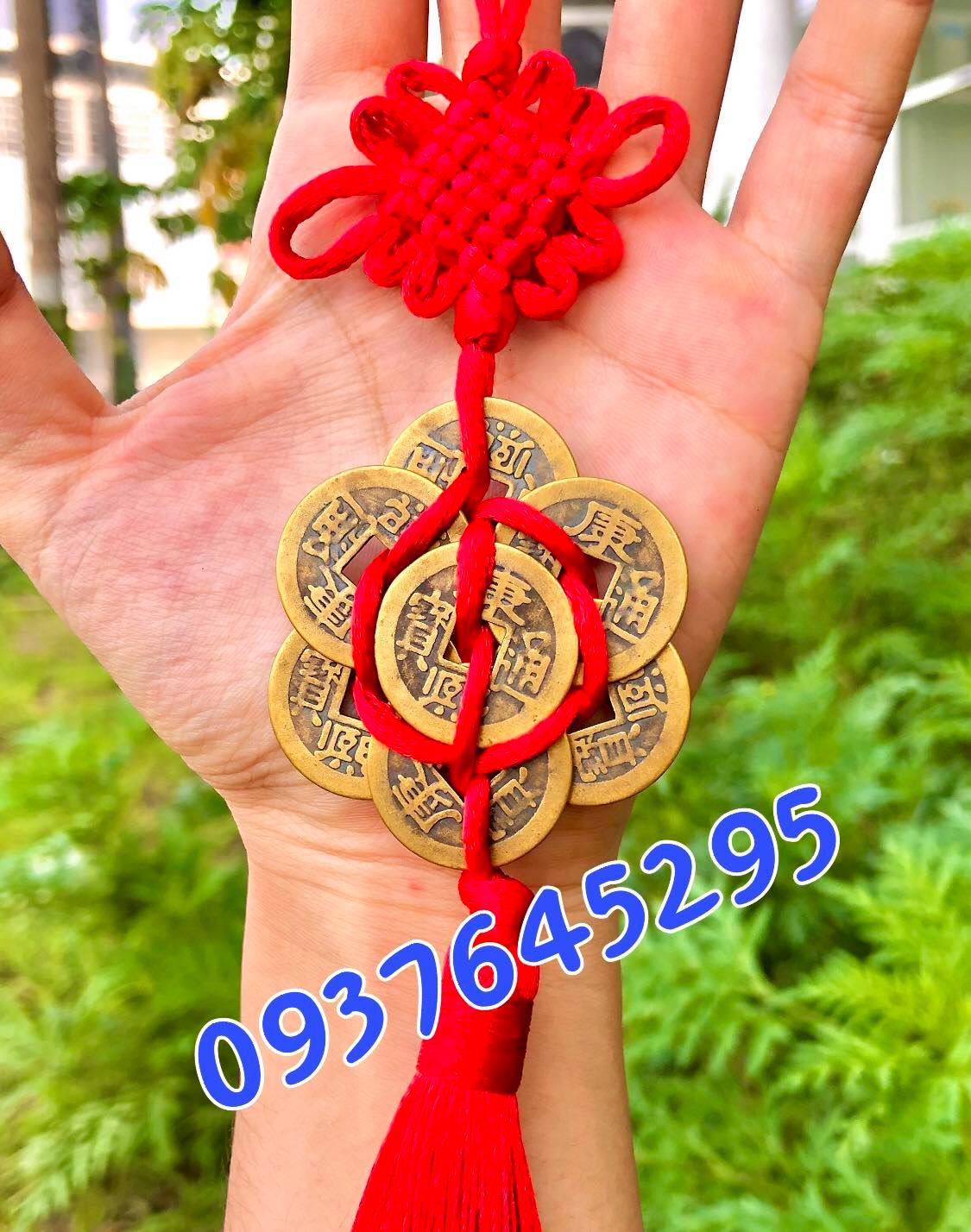 Xâu tiền mai hoa lục toàn