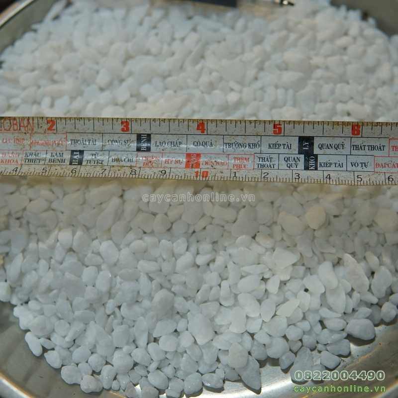1Kg đá trắng mini rải chậu cây cảnh