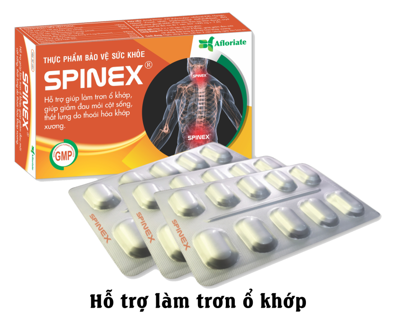 SPINEX - Thực phẩm bảo vệ sức khỏe hỗ trợ làm trơn ổ khớp, giảm đau mỏi do thoái hóa Khớp Xương