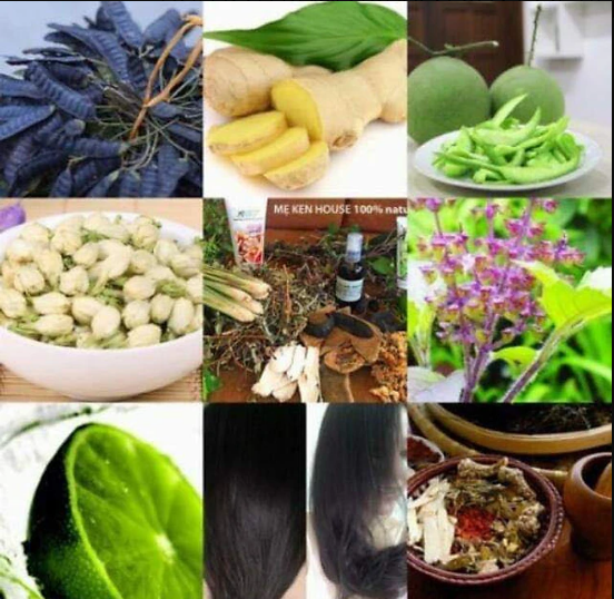 Tinh dầu bưởi nguyên chất Mẹ ken